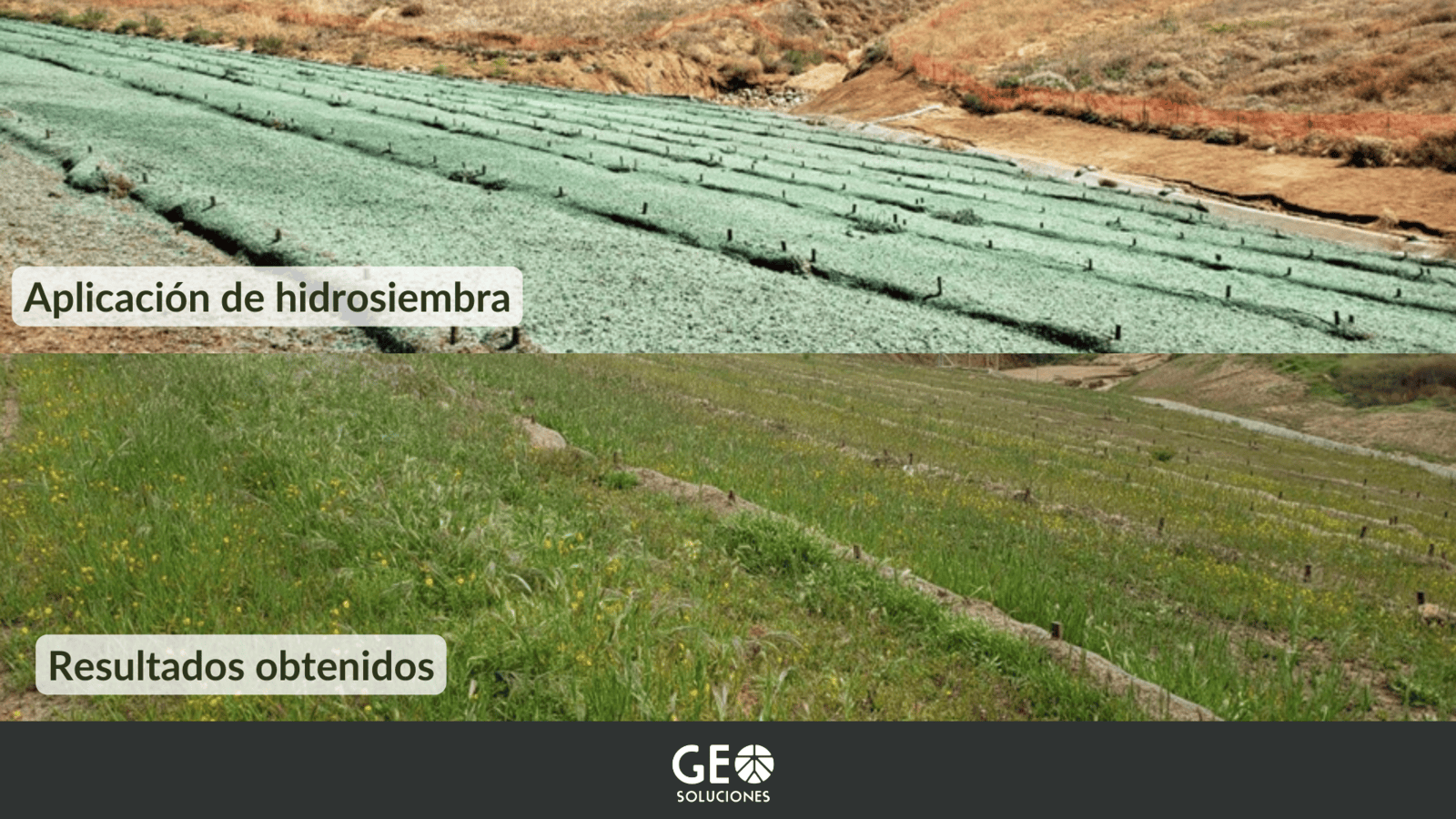 Cómo afectan los incendios forestales al ambiente y cómo restaurar a través de la Bioingeniería