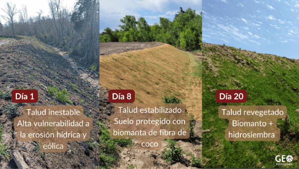 técnica de estabilización de taludes con bioingeniería