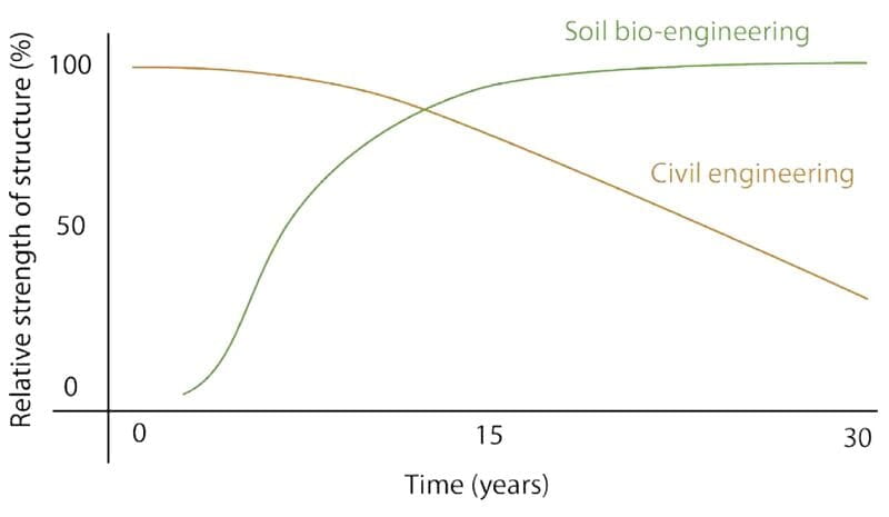 ingenieria de costas vs bioingenieria de costas